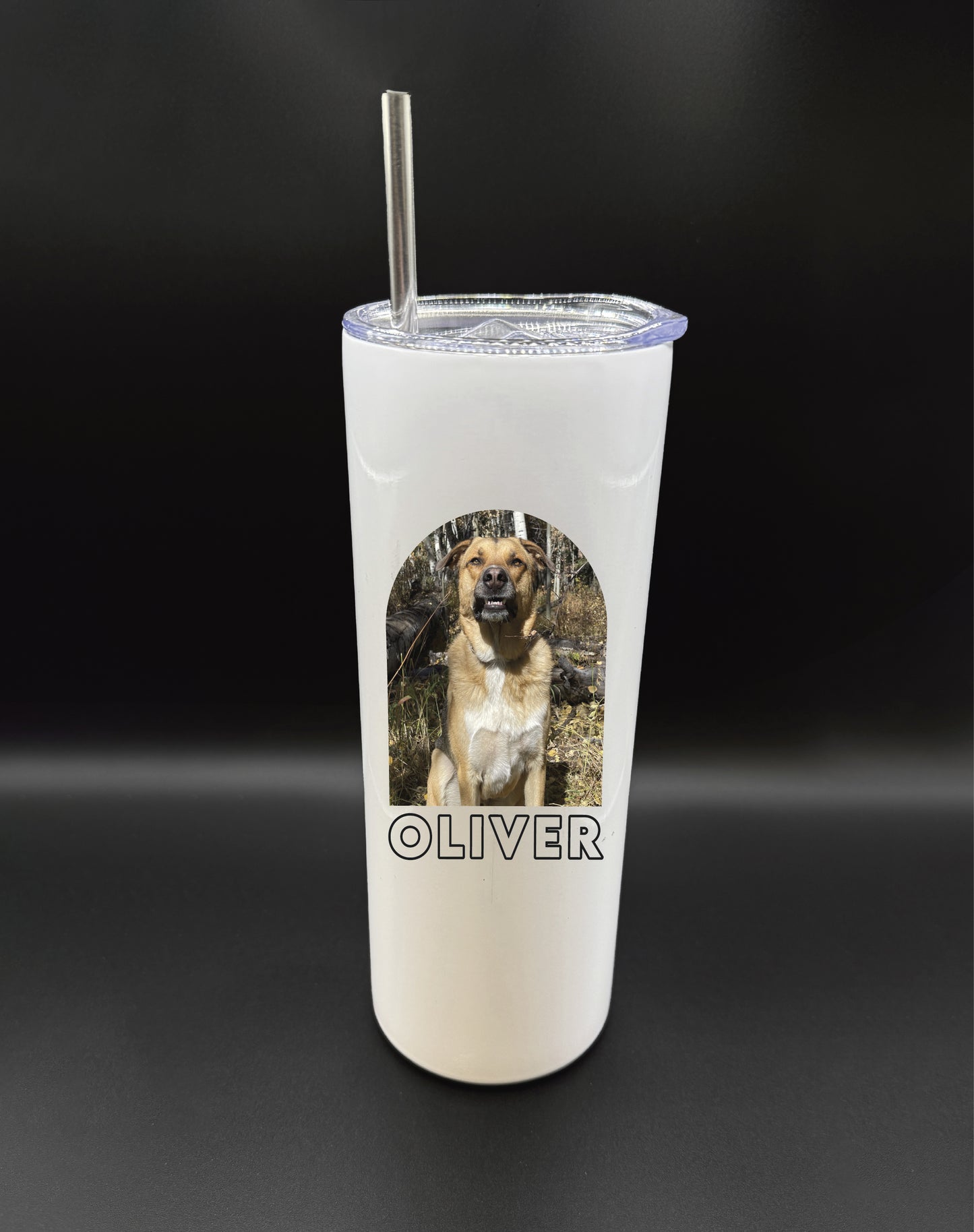 Custom Pet Photo Stainless Steel Tumbler, Personalized Pet Lover Travel Cup