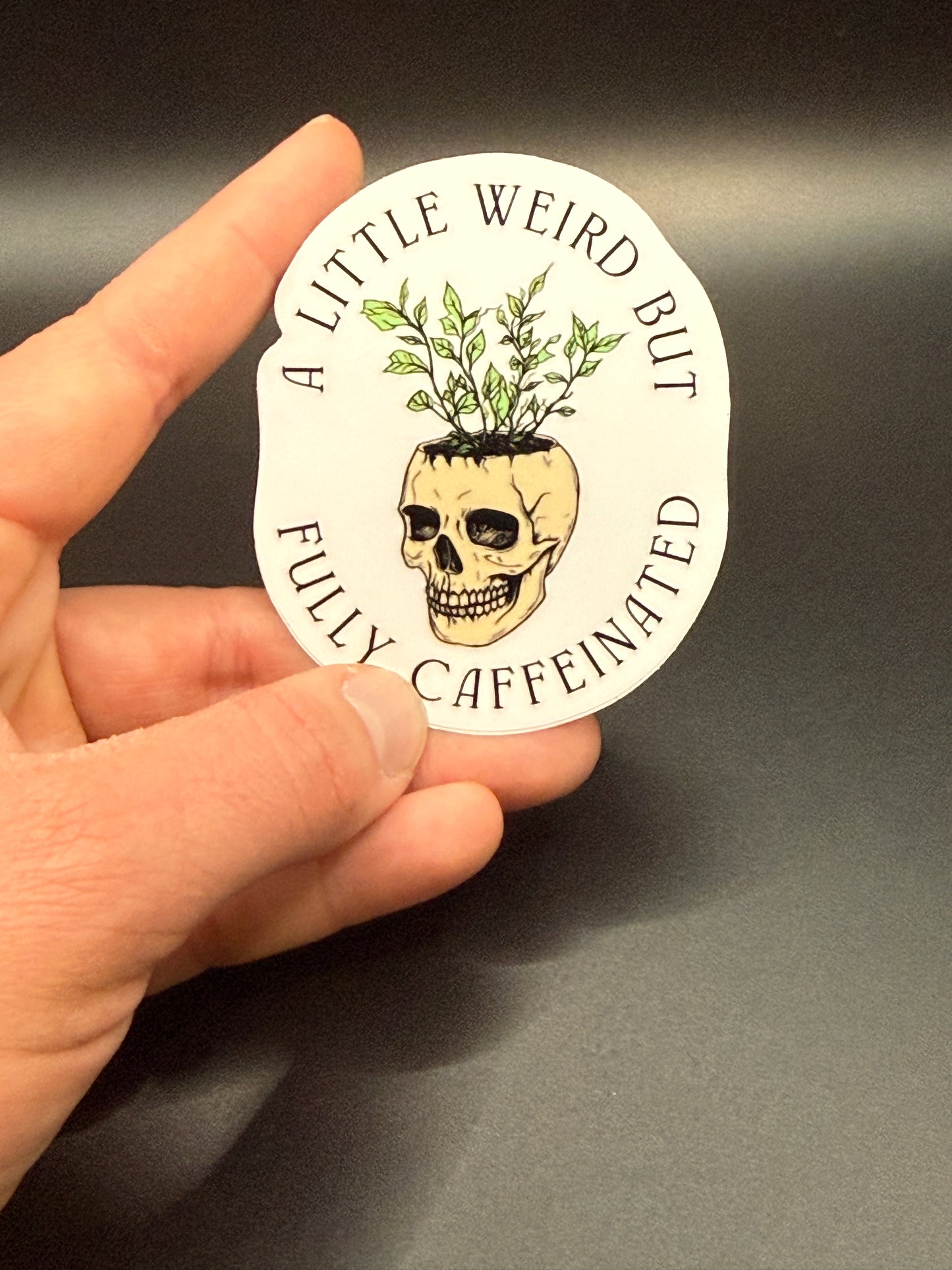 Dark Humor 2in Stickers – Funny, Sarcastic, Quirky Quotes