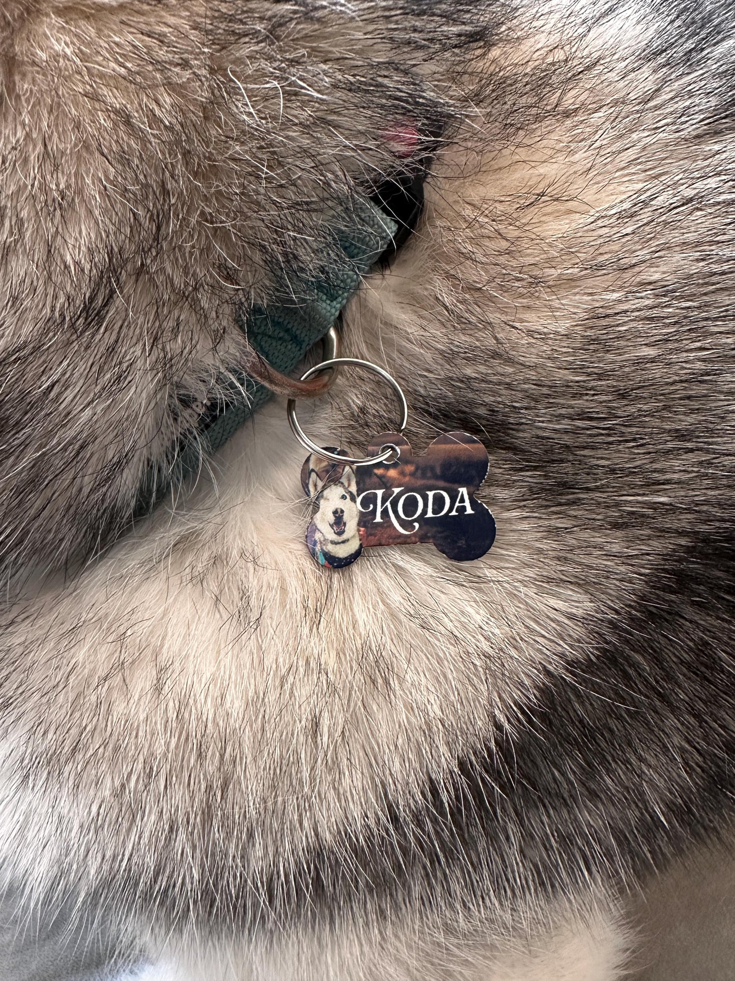 Personalized Dog Name Tag with Photo, Custom Pet ID Tag for Pets